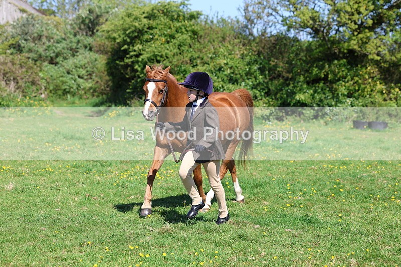 3E7A9821 - Class 17: Young Handler