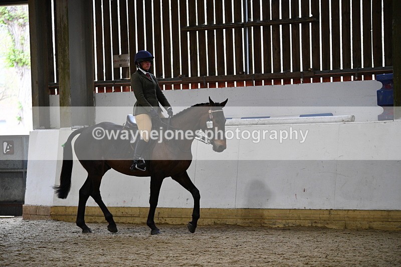 WJ5_7988 - Class 13 Ridden Part Breed