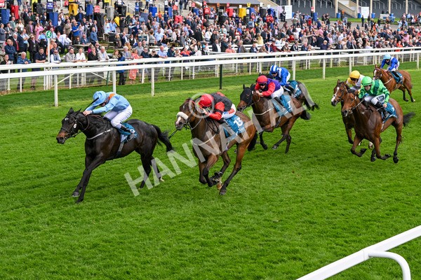 150524-Race 5-Diligent Resdev-4431 - Race 5 4.15pm Conundrum HR Consulting Handicap