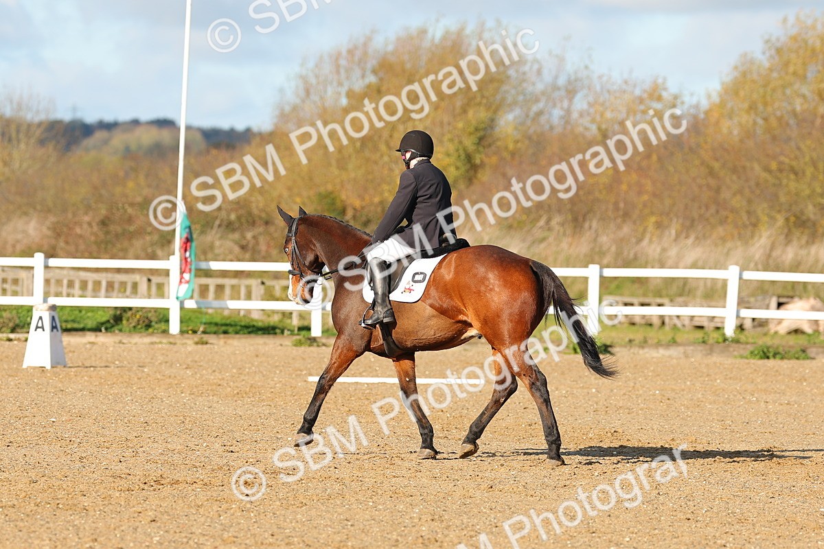 SBM_000521 - Novice 4