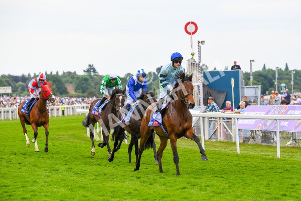 170623-Race 3-Quickthorn-0419 - Race 3 3.05pm Sky Bet Race To The Ebor Grand Cup Stakes
