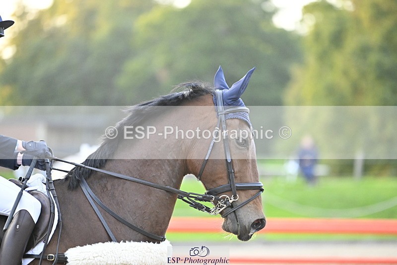 251005A-181229-05638 - Cls 12 Adv 1.10m Ind