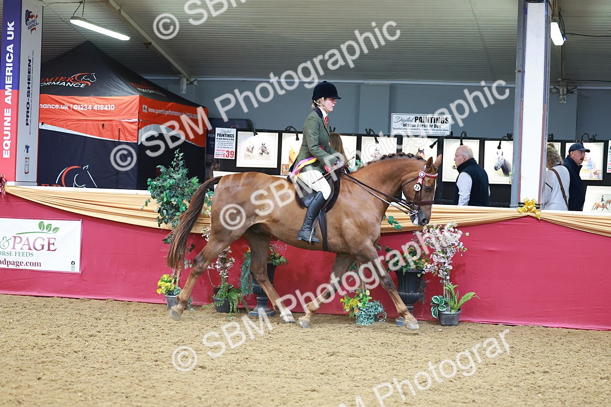SBM_09896 - Class 102 - HOYS Veteran Qualifier - Ridden Veteran
