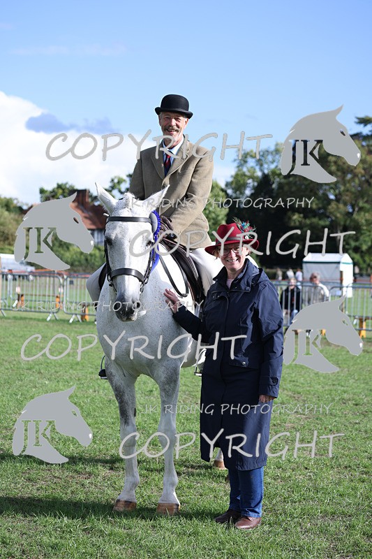 APP_4188 - Class 15a/b Pony club pony/Riding club horse
