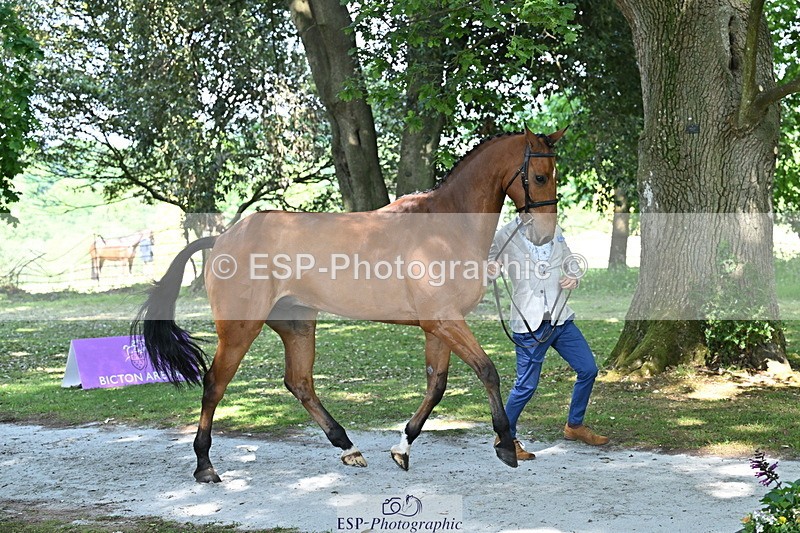 250521A-154539-00739 - B-363-Tom.D.Crisp-BLS.ABSOLUTELY