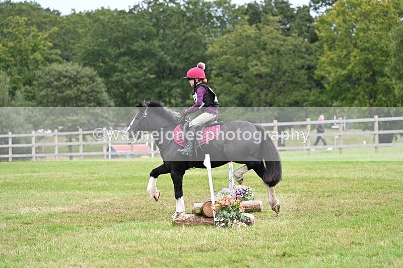 WJ7_7314 - 40cm Time 10:06 to 10:24