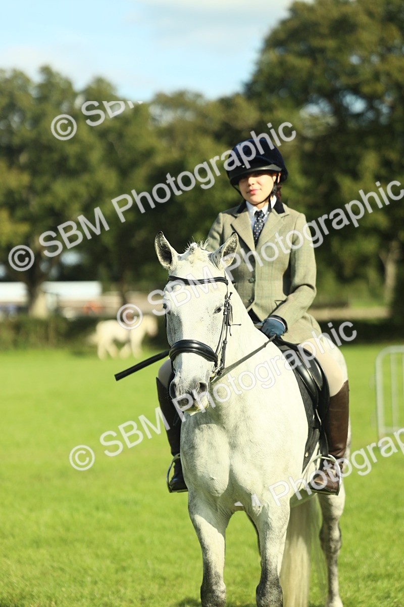 SBM_49844 - S32 - Novice & Newcomers Working Hunter