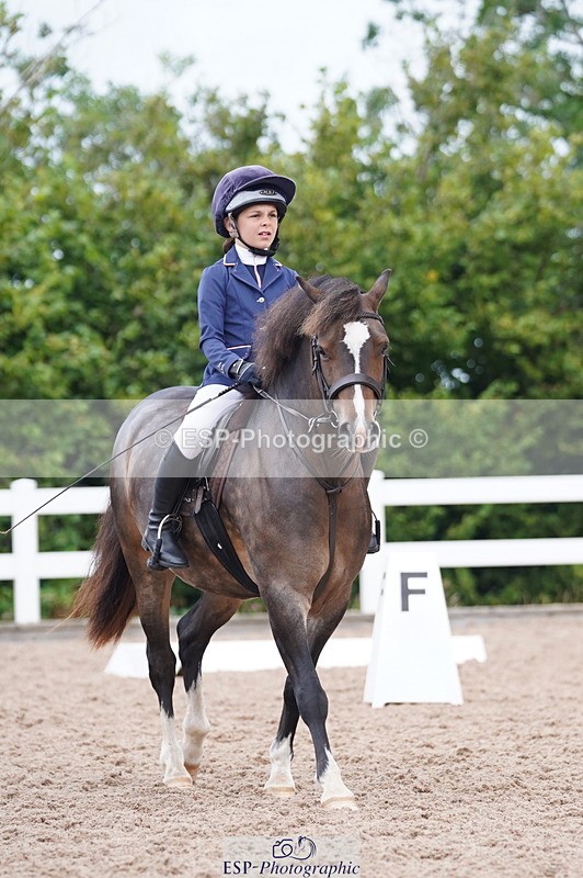 240809A-095604-00368 - Dressage Competition