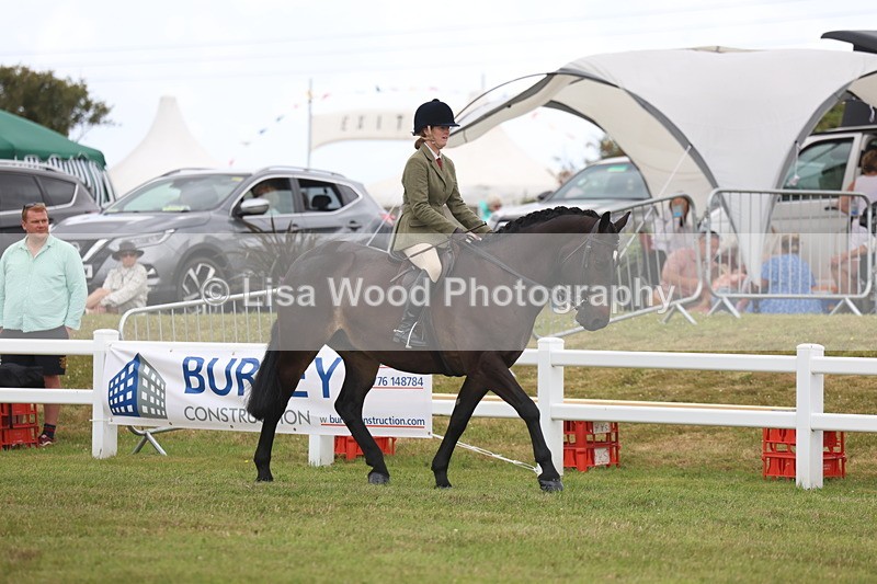 3E7A1381 - Class 9: Open Hunter