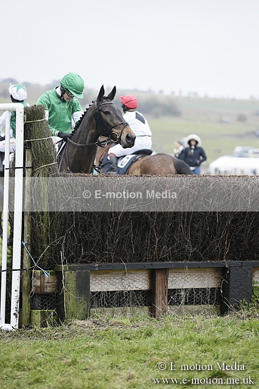 PtP 020418 -179 - Old Berks Point-to-Point Races Easter Monday 02/04/18