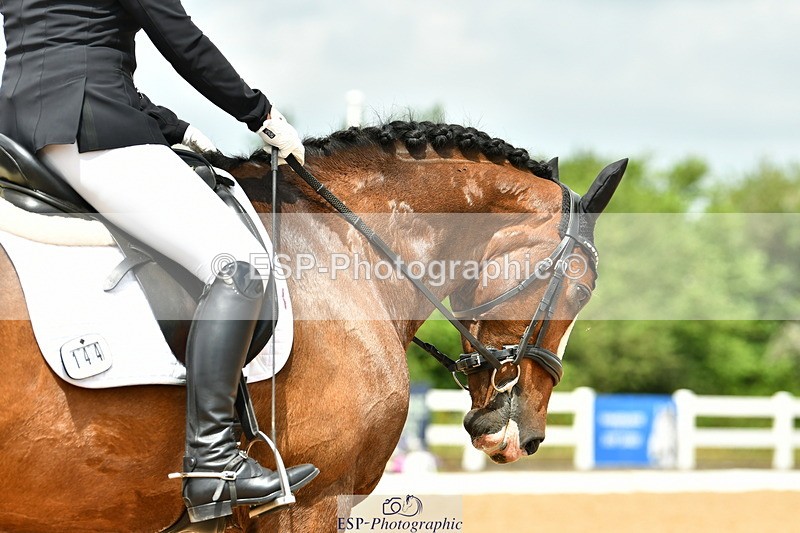 230701A-122908-06084 - Cls 8 Elementary 57