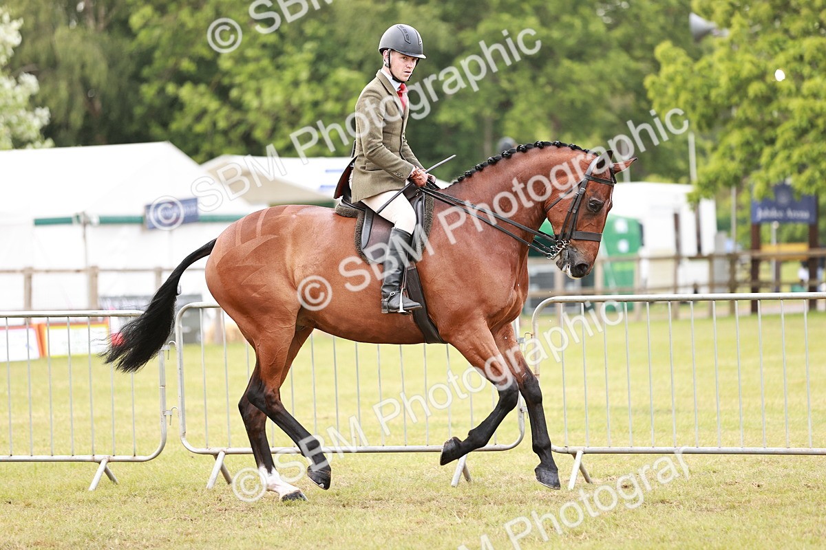 SBM_10760 - Class 81-84 - RIHS Ridden hunters Inc Ladies Hunter