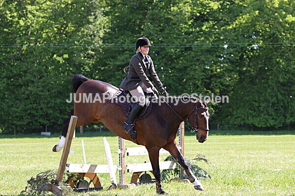 IMG_4482 - Working Hunter