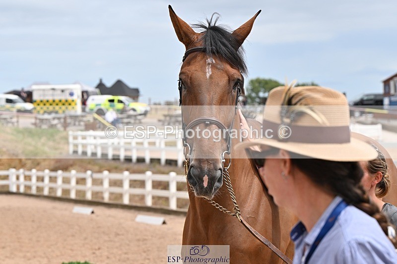 250716-144906-01432 - Trot Up 2.30 to 3.30