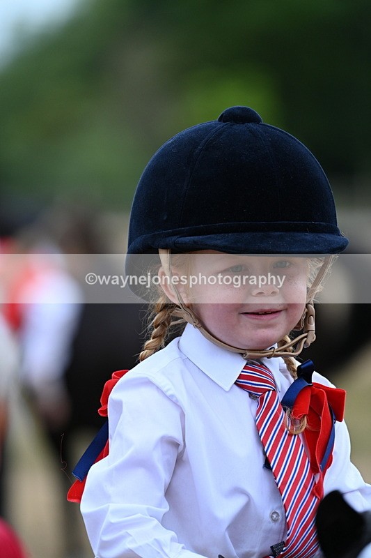 WJ7_8479 - Class 4 Prettiest Mare up to 14.2hh