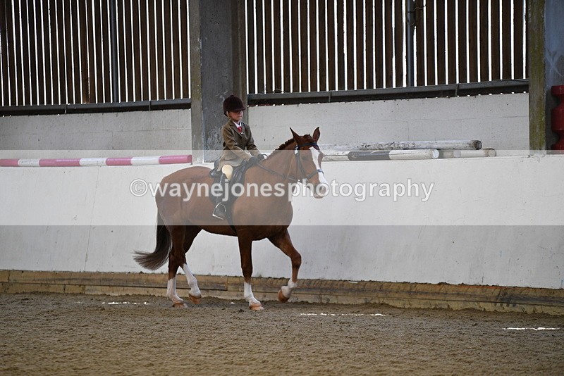 WJ5_5935 - Class 9 Ridden Veteran