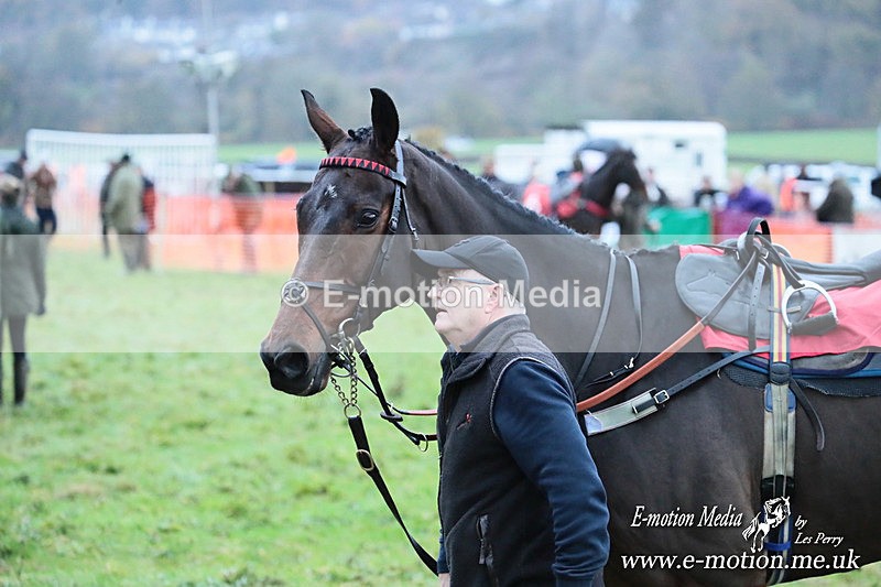 PtP 091125  0665 - Point-to-Point Wales Area Club Lower Machen, Gwent 09/11/25