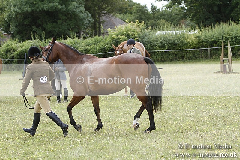 BVR160717-1851 - Ring 3 BVRC Show 16/07/17