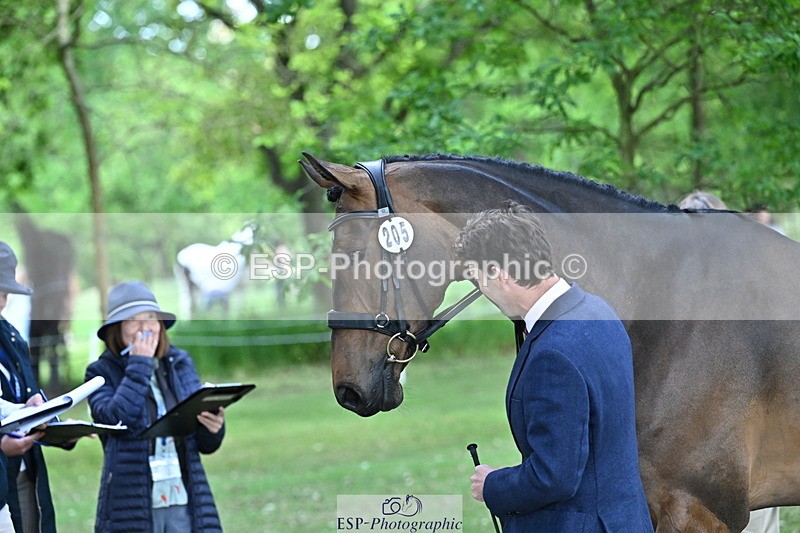 250521A-160736-00925 - C-205-Harry.Meade-IF.IN.DOUBT