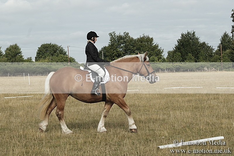_PJP5598 - Dressage Classes BVRC Show 2018