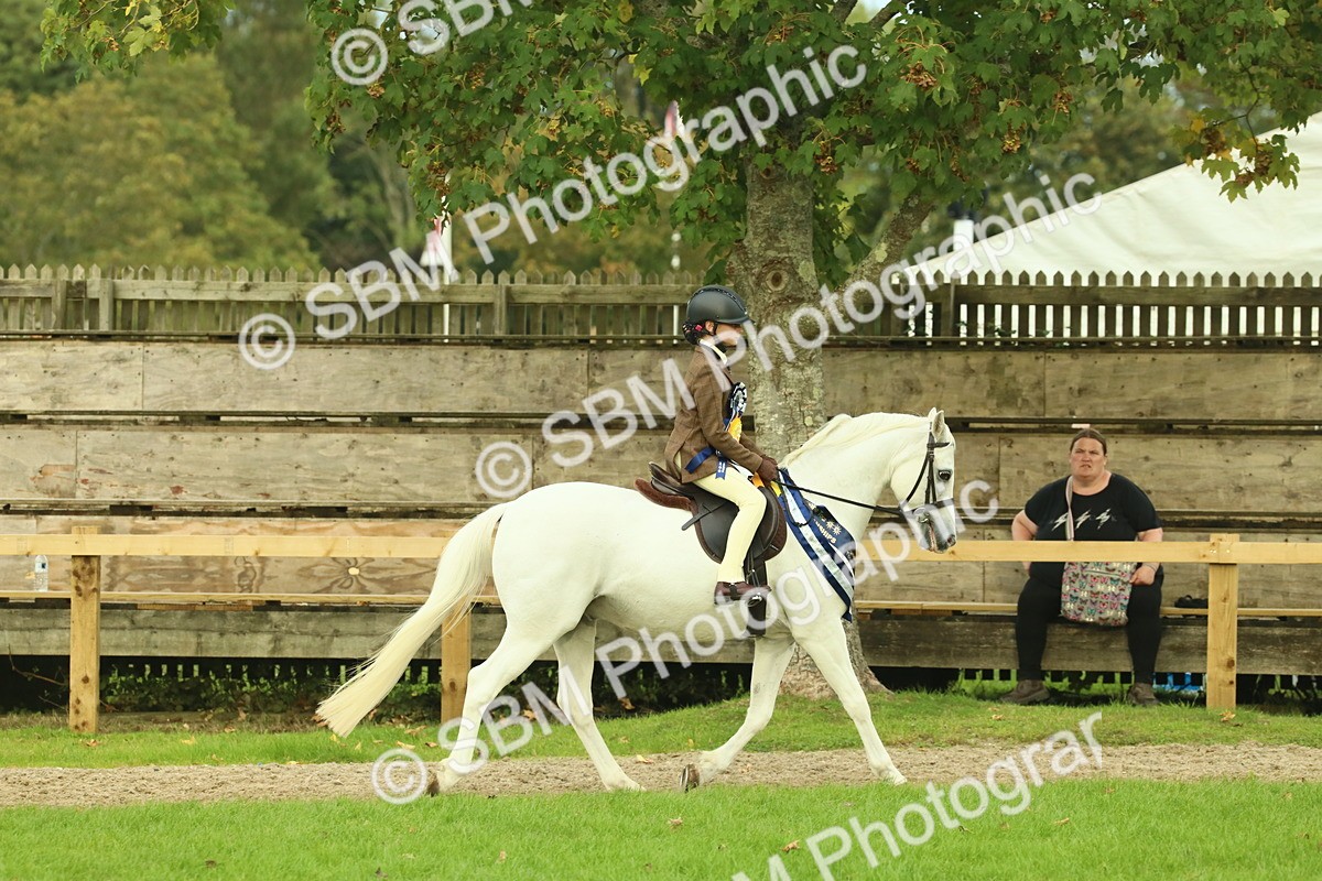 SBM_75245 - Super Supreme Championship