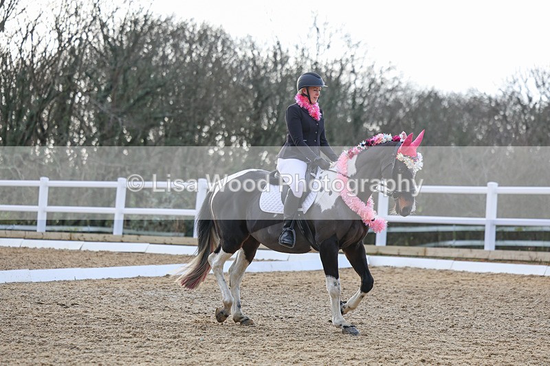 3E7A4503 - Class 4: Prelim Section B