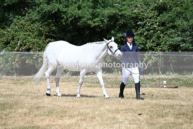 WJ7_1598 - Class 4 Prettiest Mare up to 14.2hh in hand