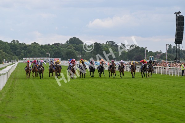 270724-Race 1-Night On Earth-6633 - Race 1 2.05pm Sky Bet 'Jump Jockeys' Nunthorpe' Handicap