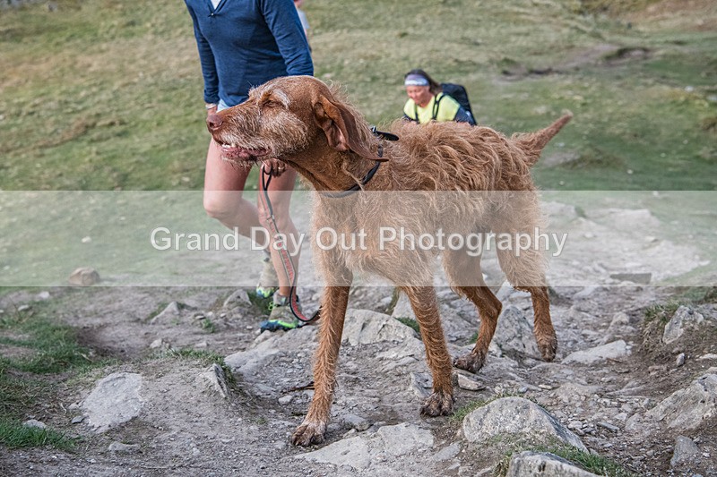 Loughrigg-28 - Loughrigg Fell Race, Wednesday 8th April 2026
