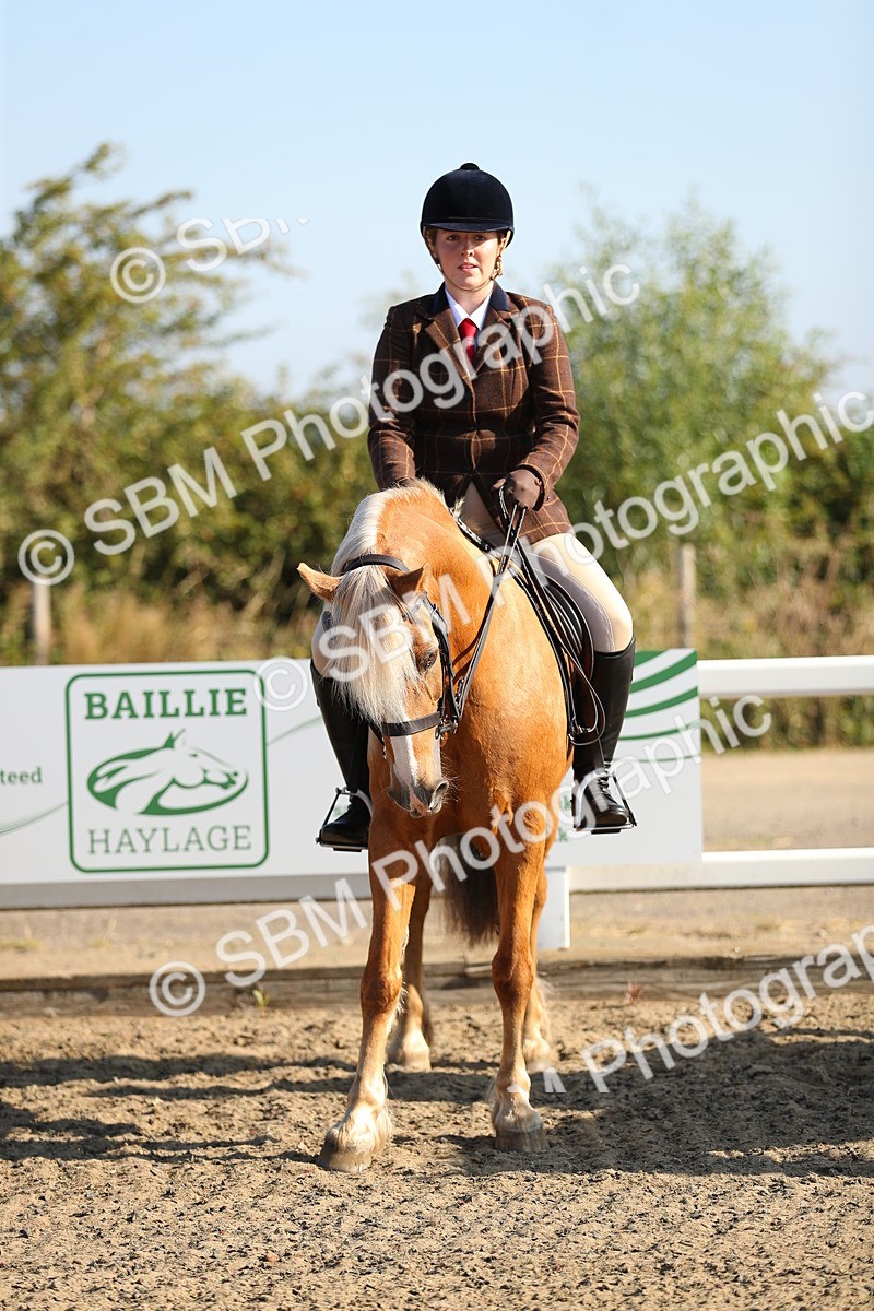 SBM_01155 - Class 42 Ridden Veteran