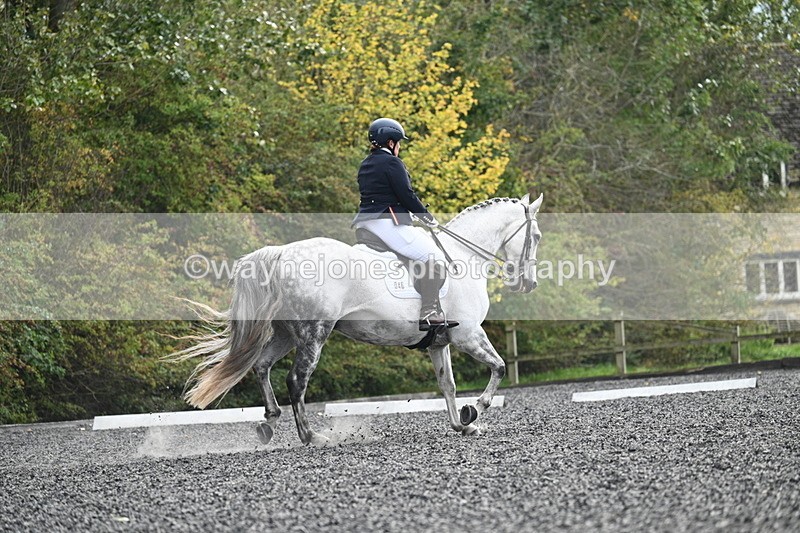 WJ7_6911 - Time 14:49 to 15:14