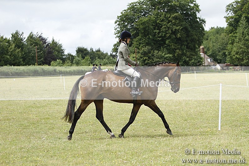 BVR160717-2281 - Working Hunter Championship 16/07/17