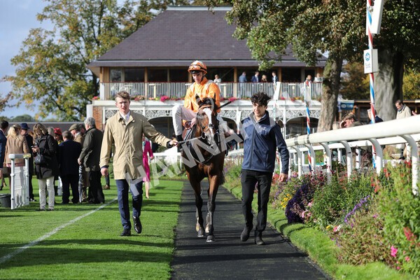 yr07102022r3-42 - Race 3 3.15pm British EBF £100,000 2yo Series Final (Colts and Geldings)