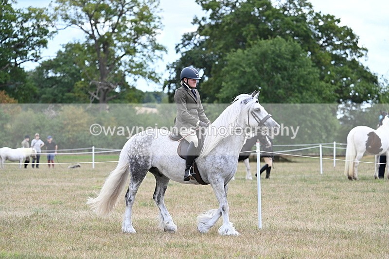 WJ7_4674 - Class 12 Ridden Cob