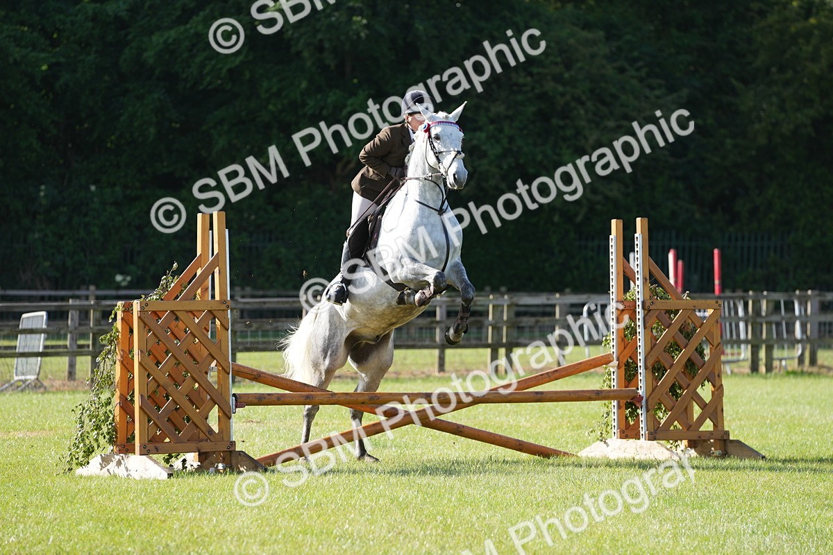 SBM_10489 - Class 97-98 - LIHS BSHA Rising Star Working Show Horse Hunter