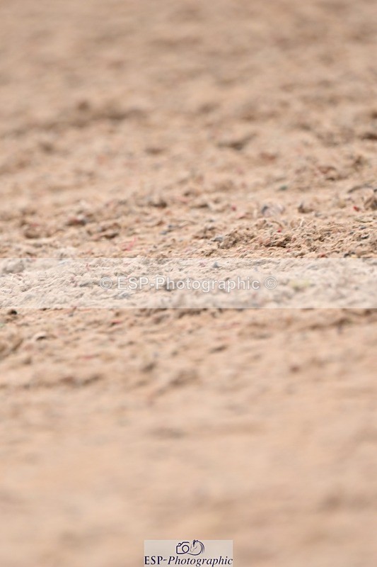 250716-155951-02315 - Trot Up 3.30 to 4.30