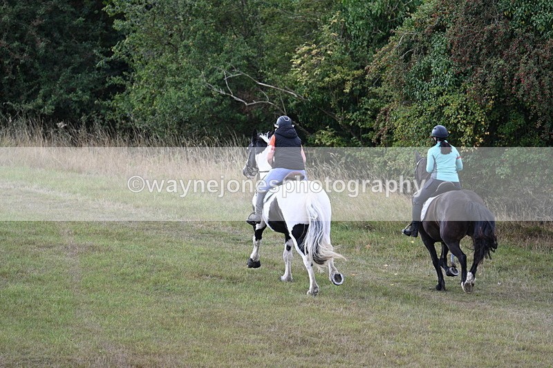 WJ7_5393 - Time 11:22 to 11:41