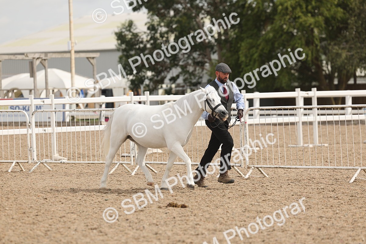 SBM_04956 - Class 20 - IH Veteran