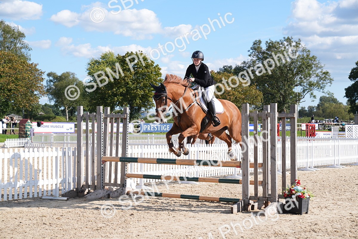 SBM_26077 - J61 - Clear Round 75cm & 85cm