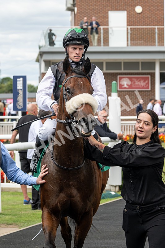 020825-Race 1-Rikki Tiki Tavi-2460 - Race 1