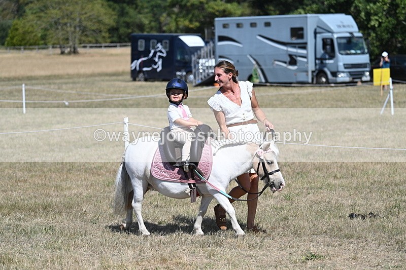 WJ7_1147 - Class 41 Prettiest Mare