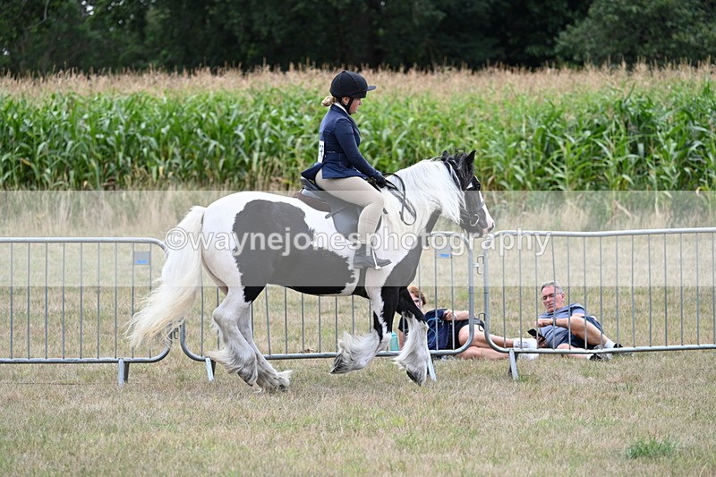 WJ7_5352 - Class 12 Ridden Cob