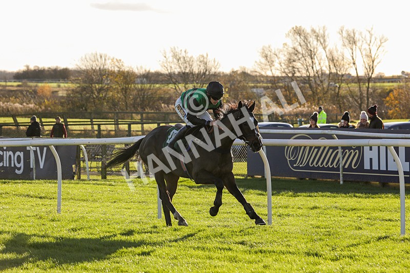 241123-Race 2-Latin Verse-0908 - Race 2