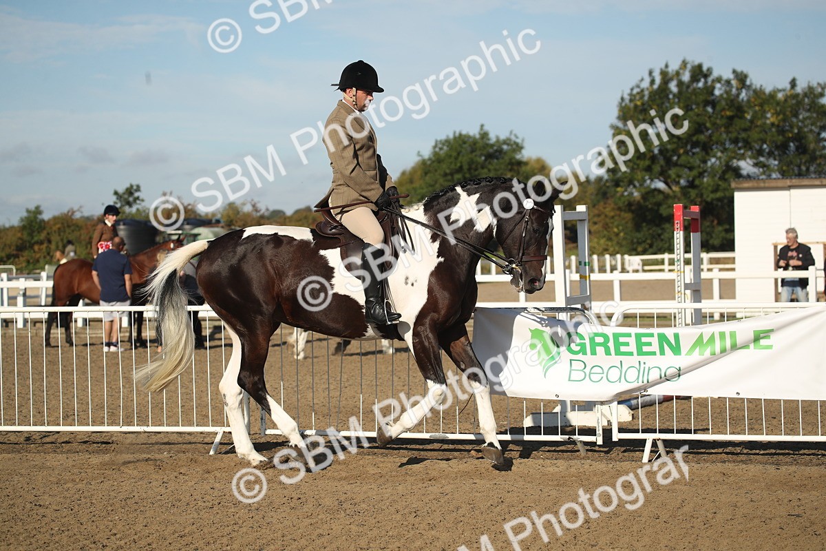 SBM_11306 - Class 501 -Riding Club Pony