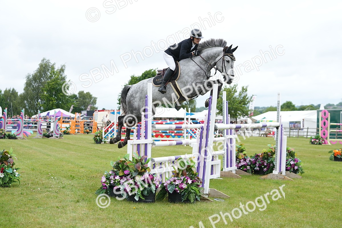 SBM_03116 - Class 201 - British Horse Feeds Speedi Beet Horse of the Year Show Grade  C