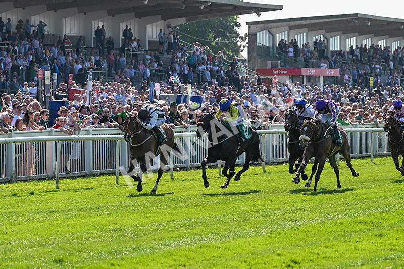 180524-Race 3-Burning Cash-9374 - Race 3