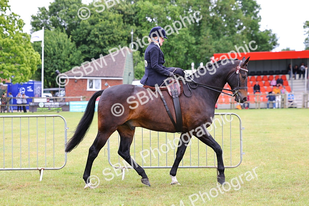 SBM_02812 - Class 9-11 Side Saddle including LIHS Rising Star Ladies Show Horse