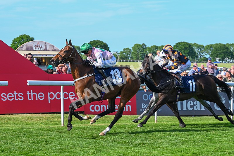 300526-Race 7-Anificas Beauty-7177 - Race 7 17.08pm Platinum Queen Play Live After Racing Handicap