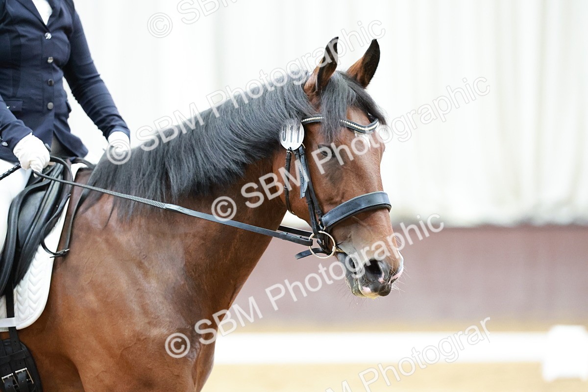 SBM_003095 - class 1 - Intro 2