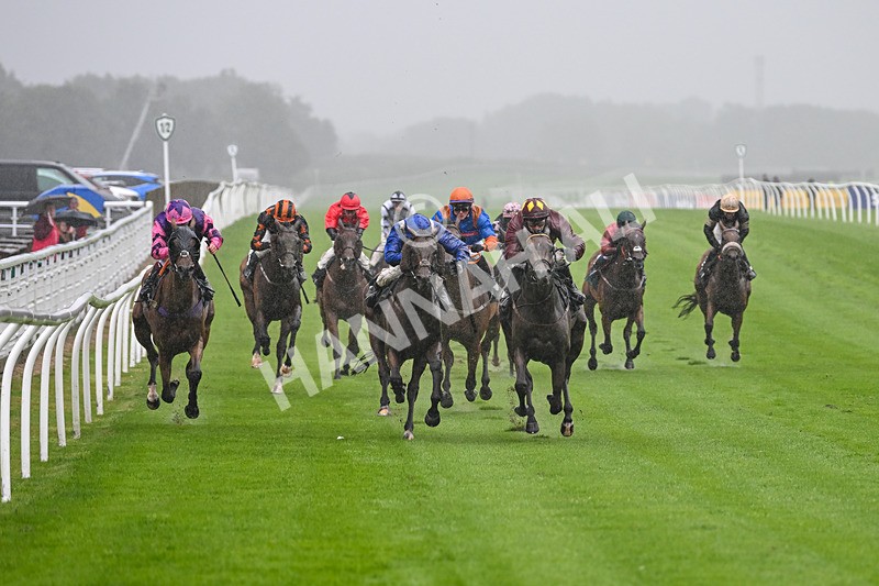 230725-Race 3-Emerald Army-0027 - Race 3